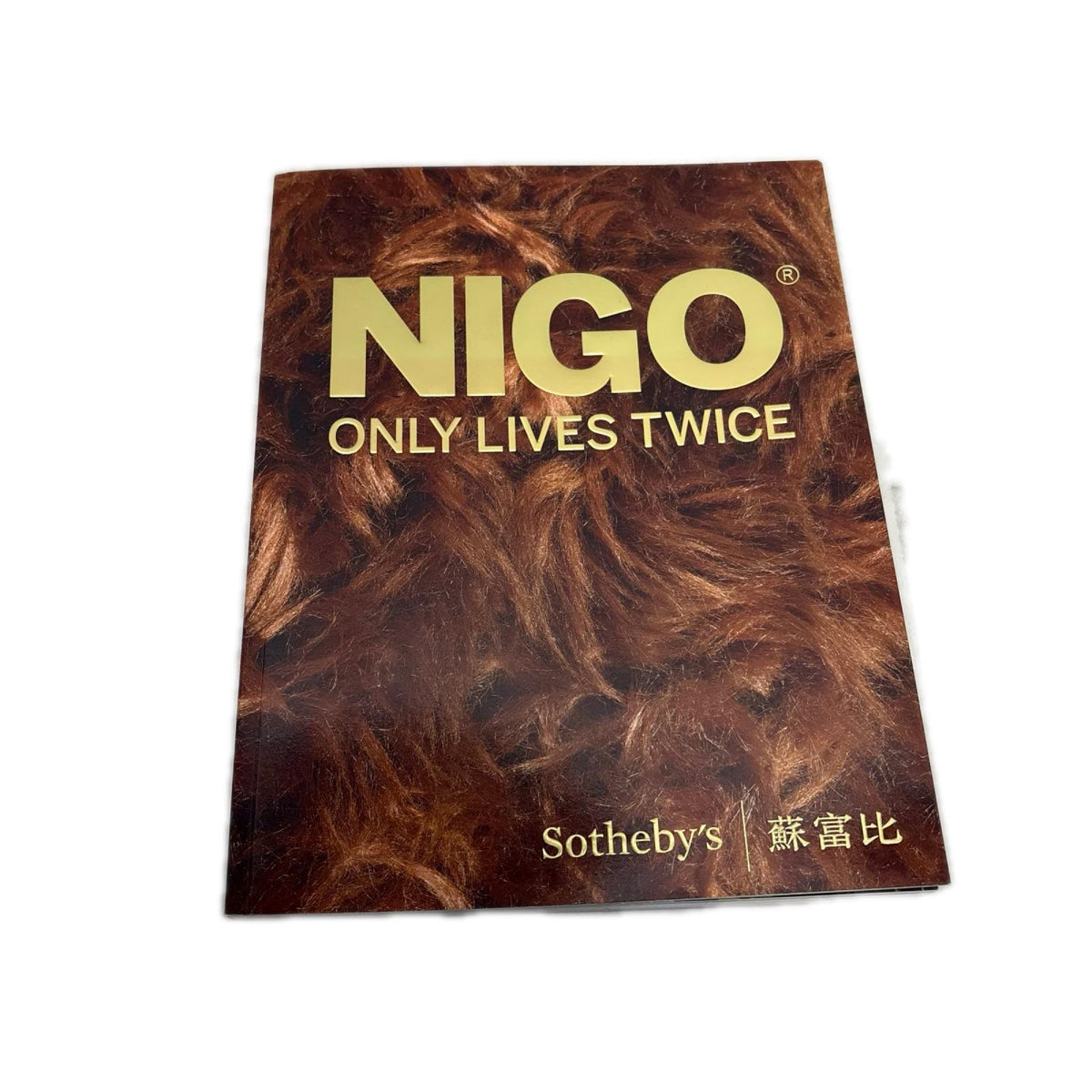 インテリアその他 NIGO LIVES TWICE BOOK