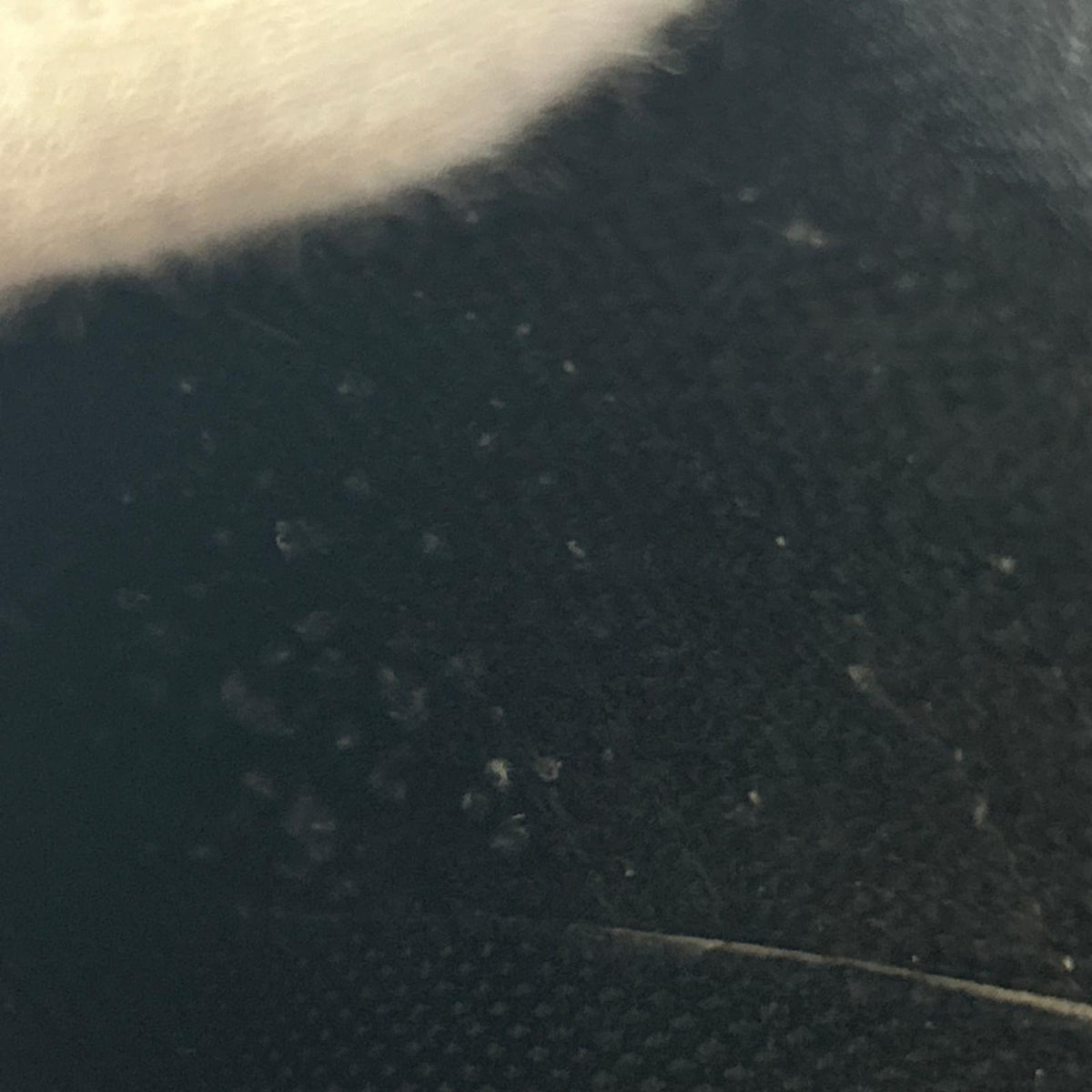 スニーカー Superstar Core Black 27.5cm (US9 1/2 UK9 EU45)