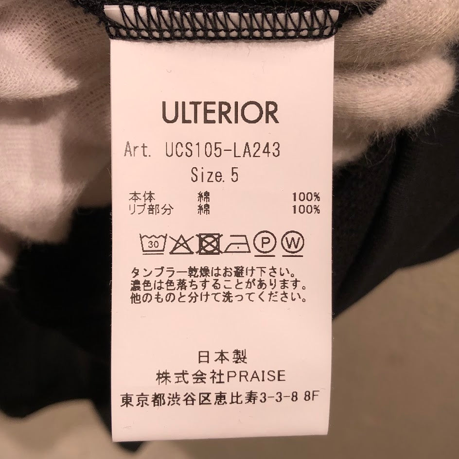 半袖Tシャツ ULTERIOR Soft Dry Short Loop Terry Tee 5