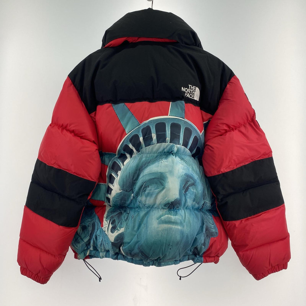 その他アウター Supreme× THE NORTH FACE. STATU M