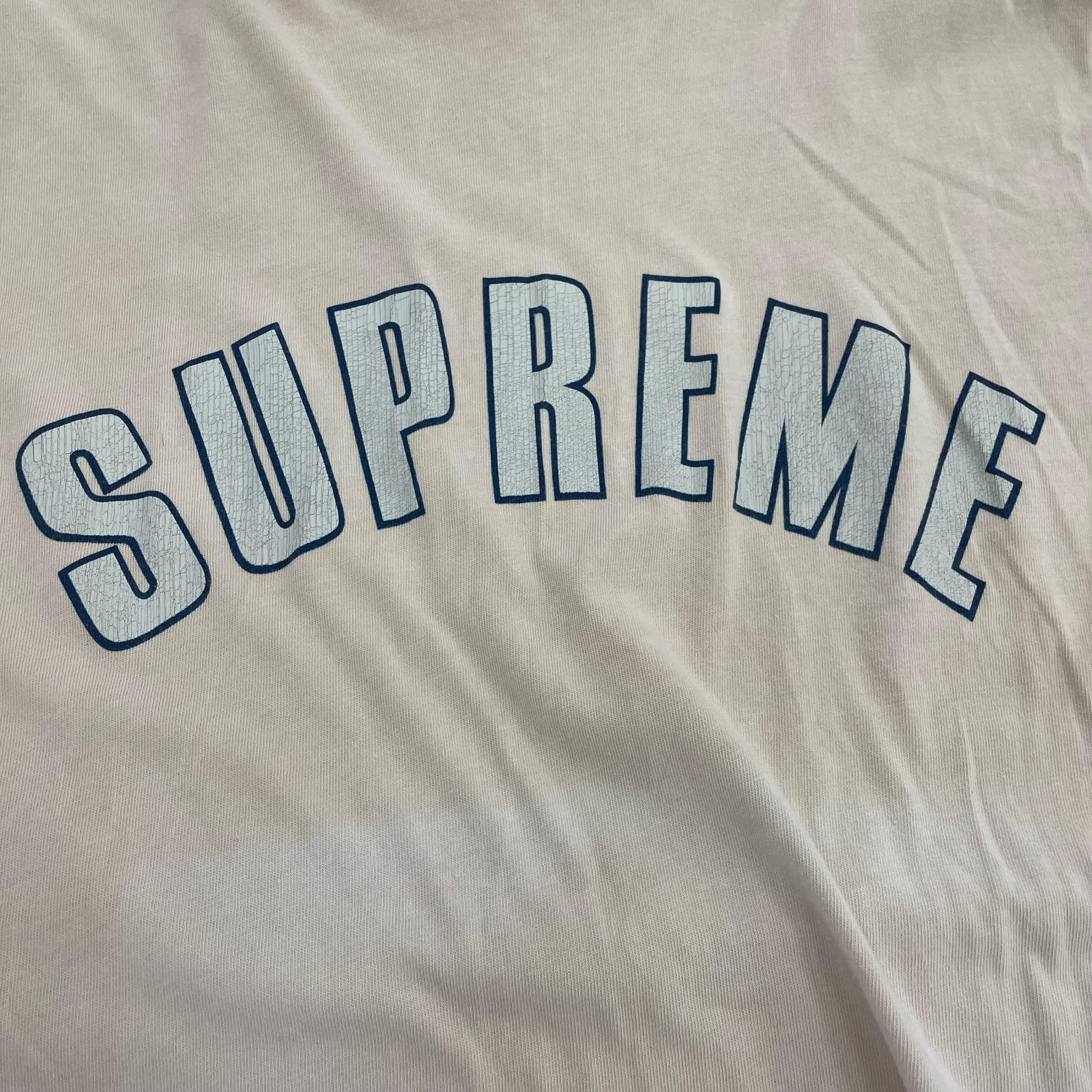 半袖Ｔシャツ ベージュ ベージュ