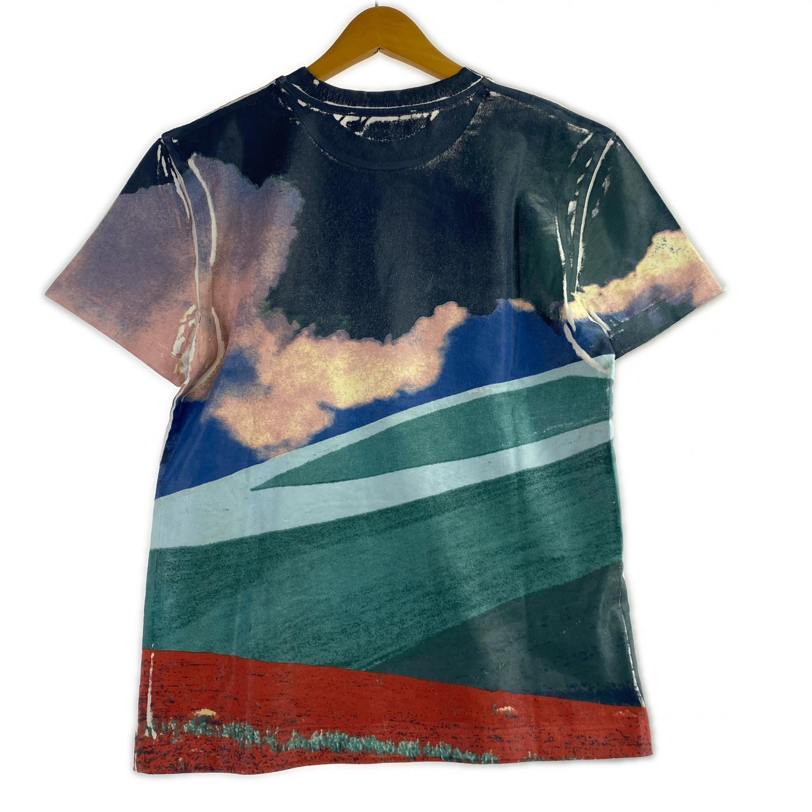 半袖Ｔシャツ コーティング 総柄 S マルチカラー