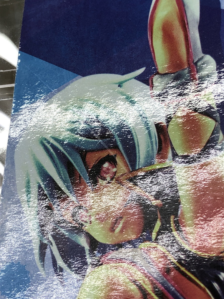 クイーンズブレイド 牙の暗殺者イルマ Rその他