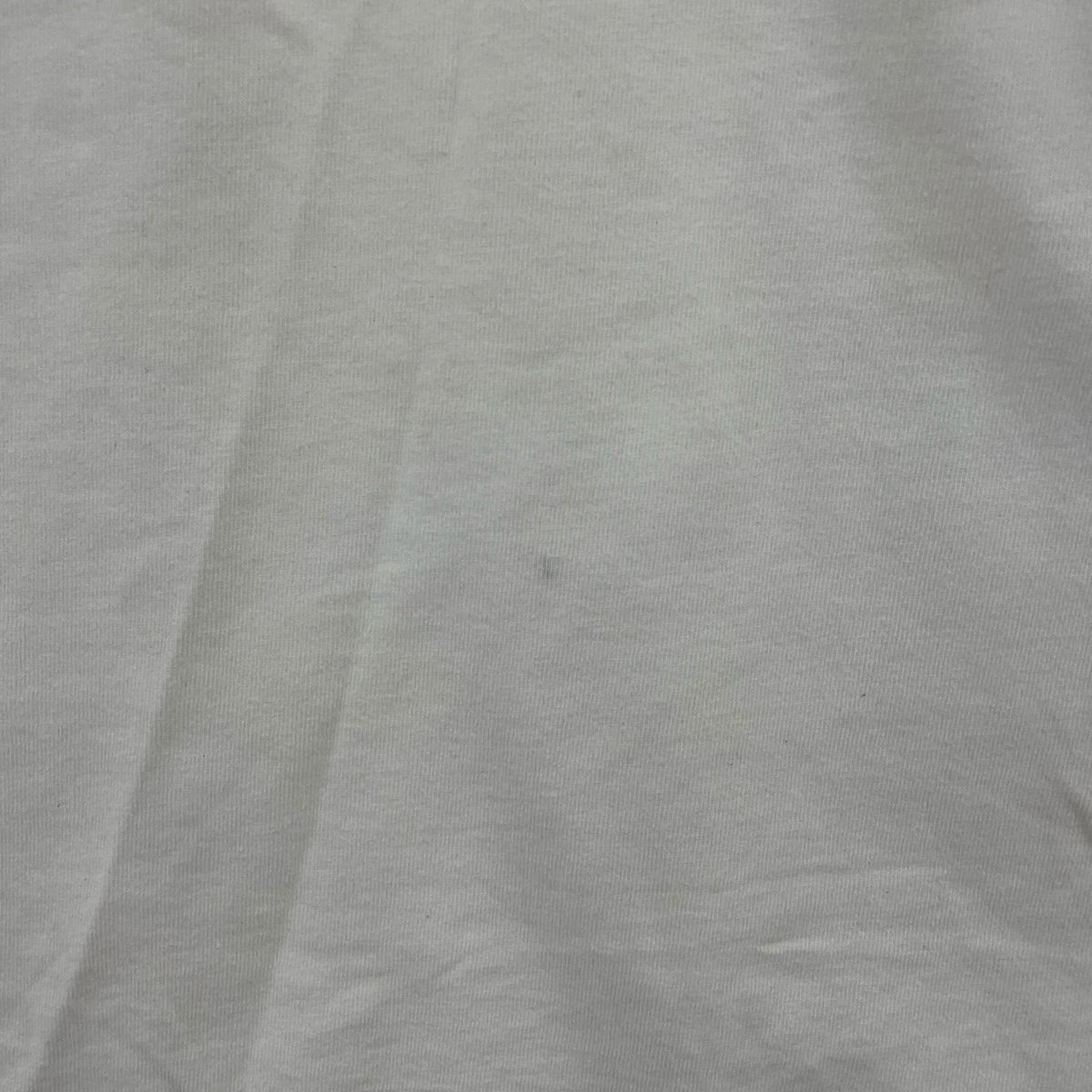 半袖Ｔシャツ ドリームキャッチャー　S/Sカットソー　白（XL）
