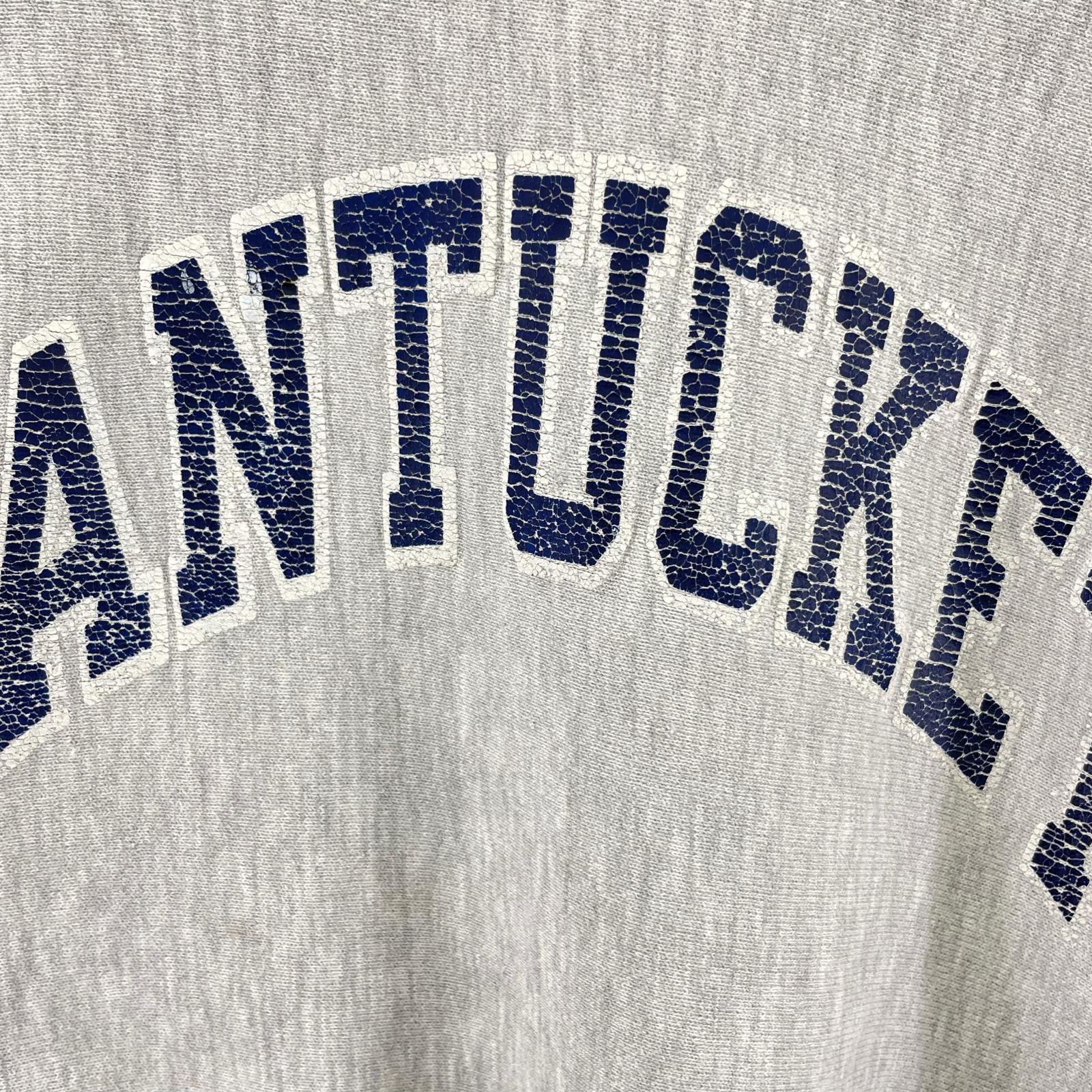 スウェット ９０s/XL/目無し グレー
