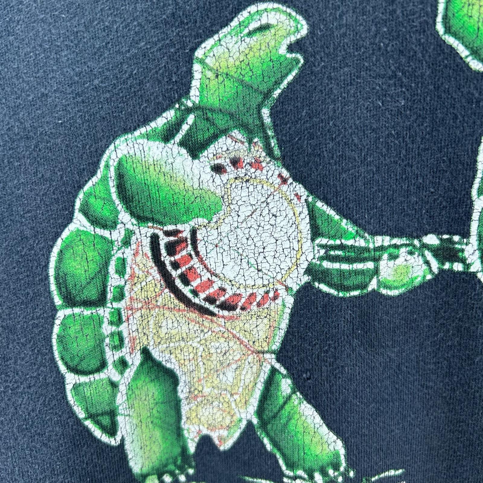 パーカー GRATEFUL DEAD TERRAPINS HOODES