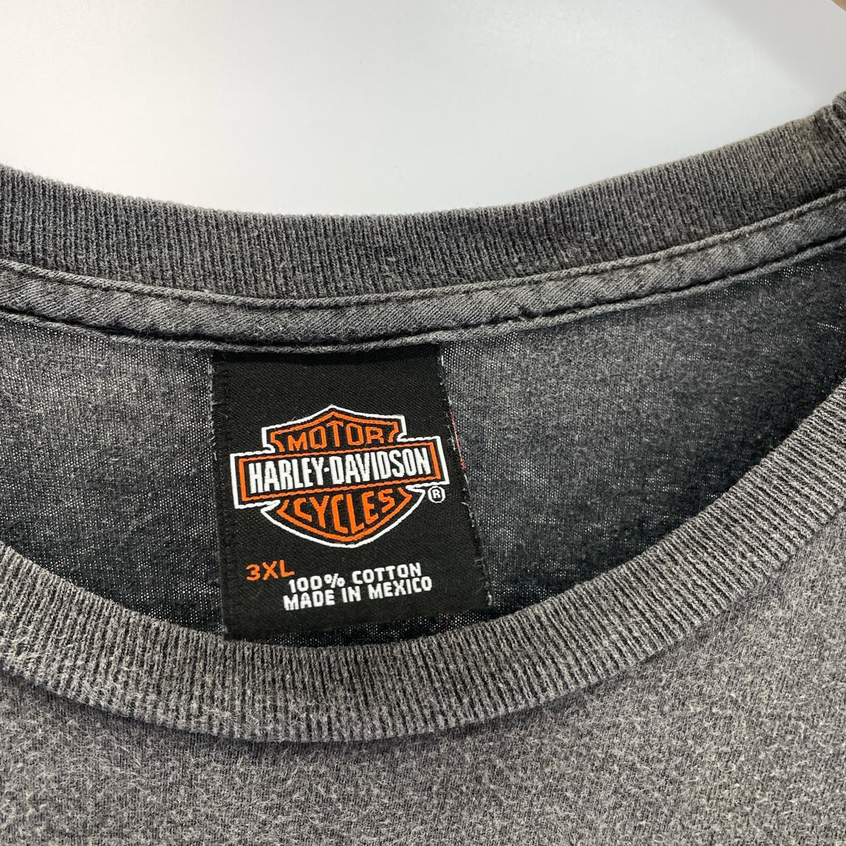 半袖Ｔシャツ 00s イーグル スカル 3XL グレー