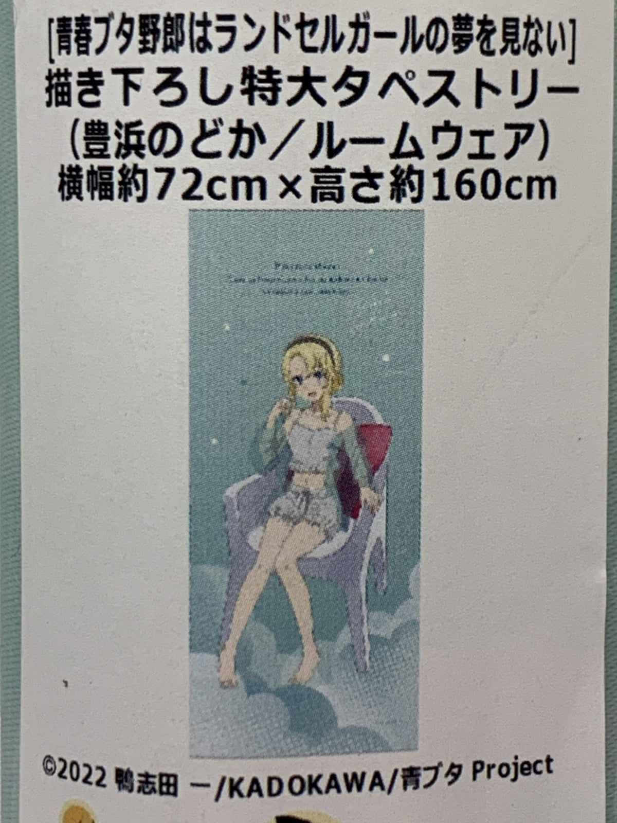 カーテン魂 青ブタ 特大タペストリー フィギュア/グッズ