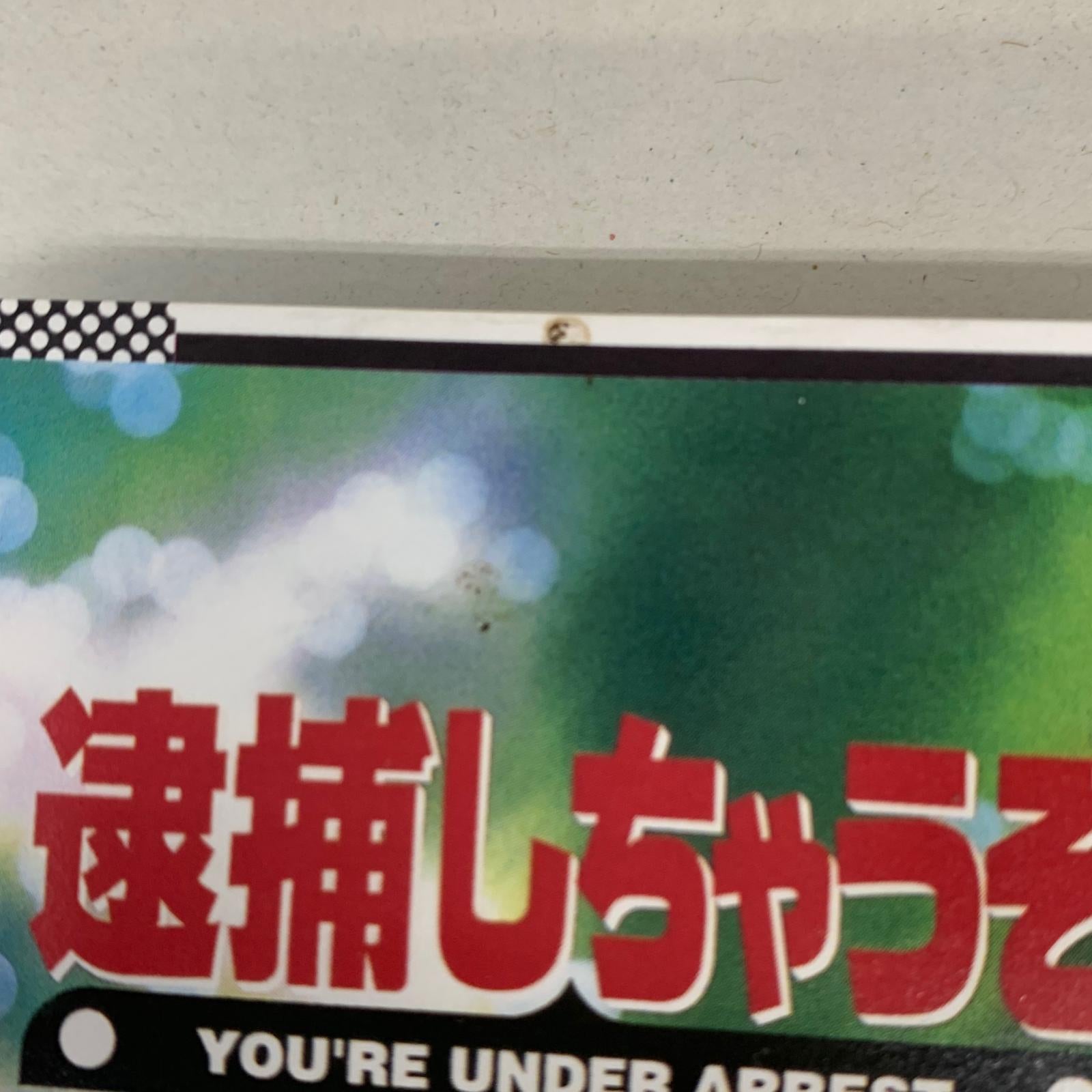 逮捕しちゃうぞ アマダ カード 103種全種セット その他小物