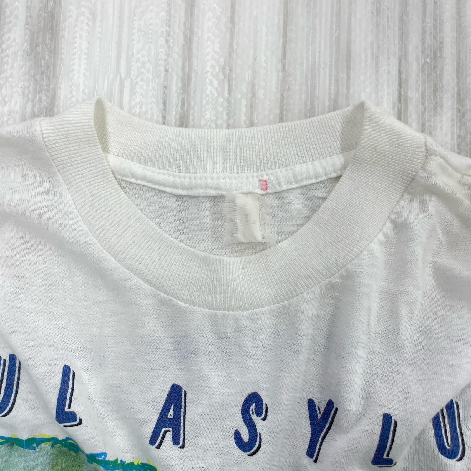 半袖Ｔシャツ 90s SOUL ASYLUM L ホワイト