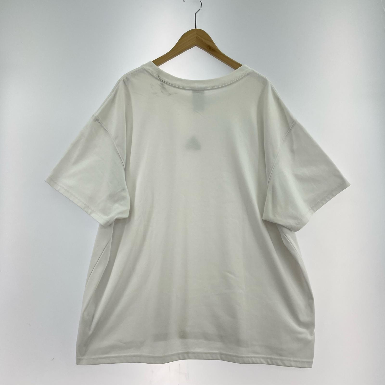 半袖Ｔシャツ ACG NRG LBR LUNGS S/S TEE ホワイト