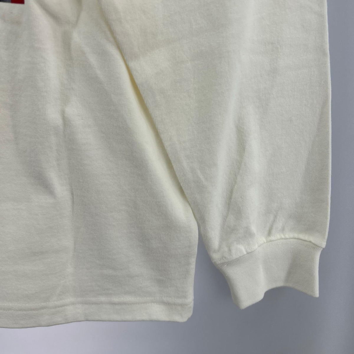 長袖Ｔシャツ THE NORTH FACE 　L/S 30th Nuptse Tee NT82235 白 (S) S ホワイト