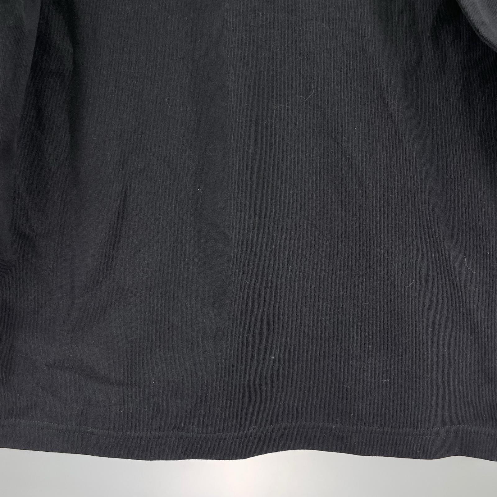長袖Ｔシャツ THE NORTH FACE TRANS ANTARCTICA TEE NT82230 黒 (S) S ブラック