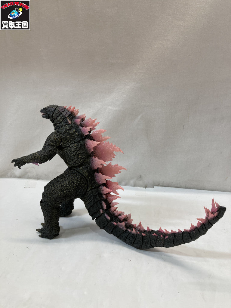 ぶいすぽ　橘ひなの　2024　枕カバー フィギュア/グッズ