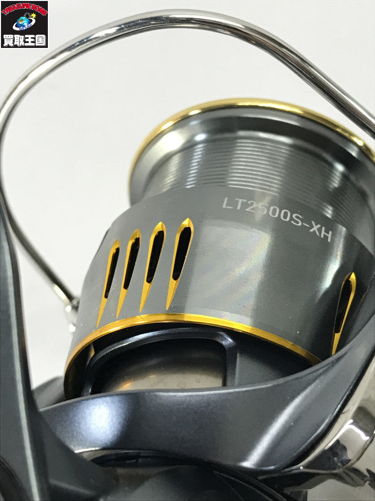 LOEWE カリエ　ハンドバッグ