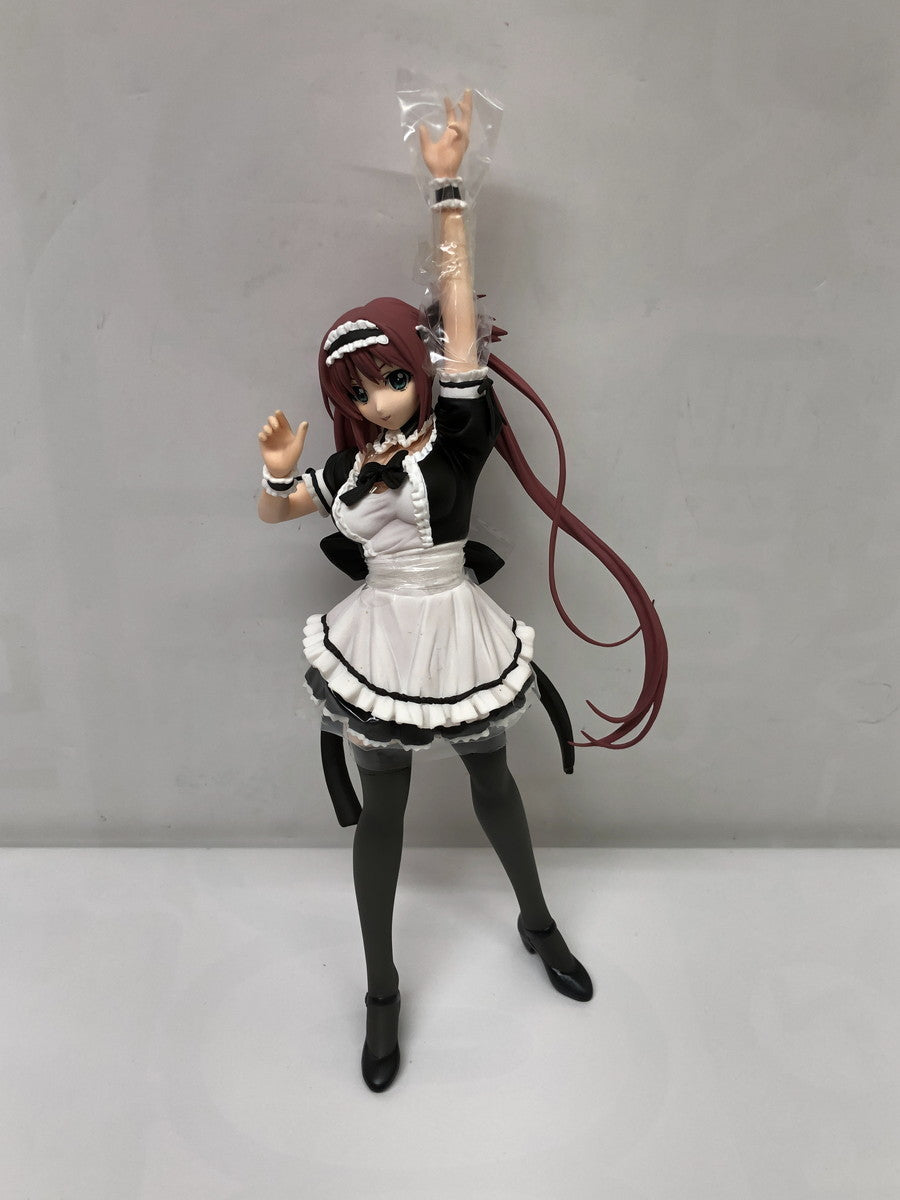 クイーンズブレイド　アイリ Rその他