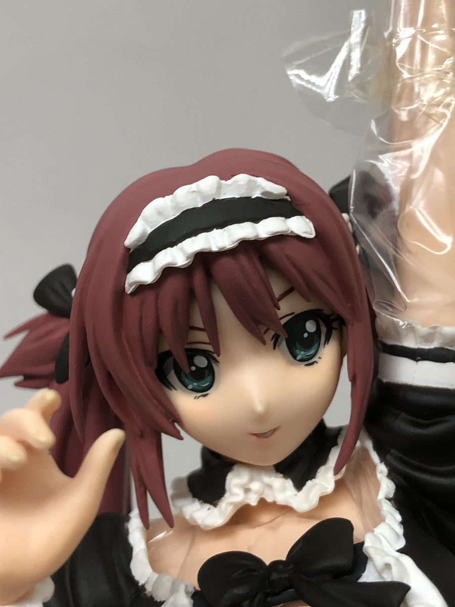 クイーンズブレイド　アイリ Rその他