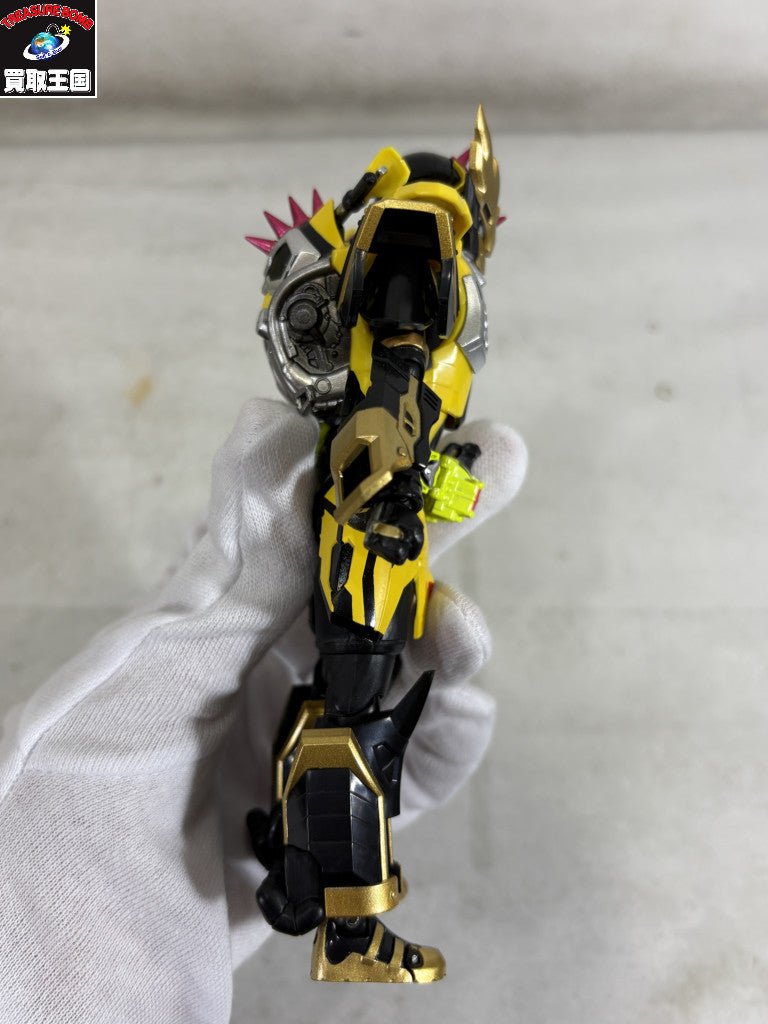 DX仮面ライダー変身ベルトタイフーン フィギュア/グッズ