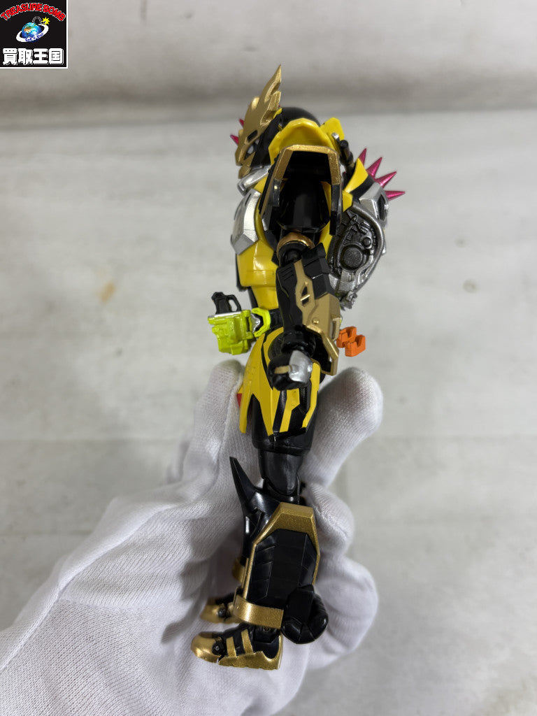 DX仮面ライダー変身ベルトタイフーン フィギュア/グッズ