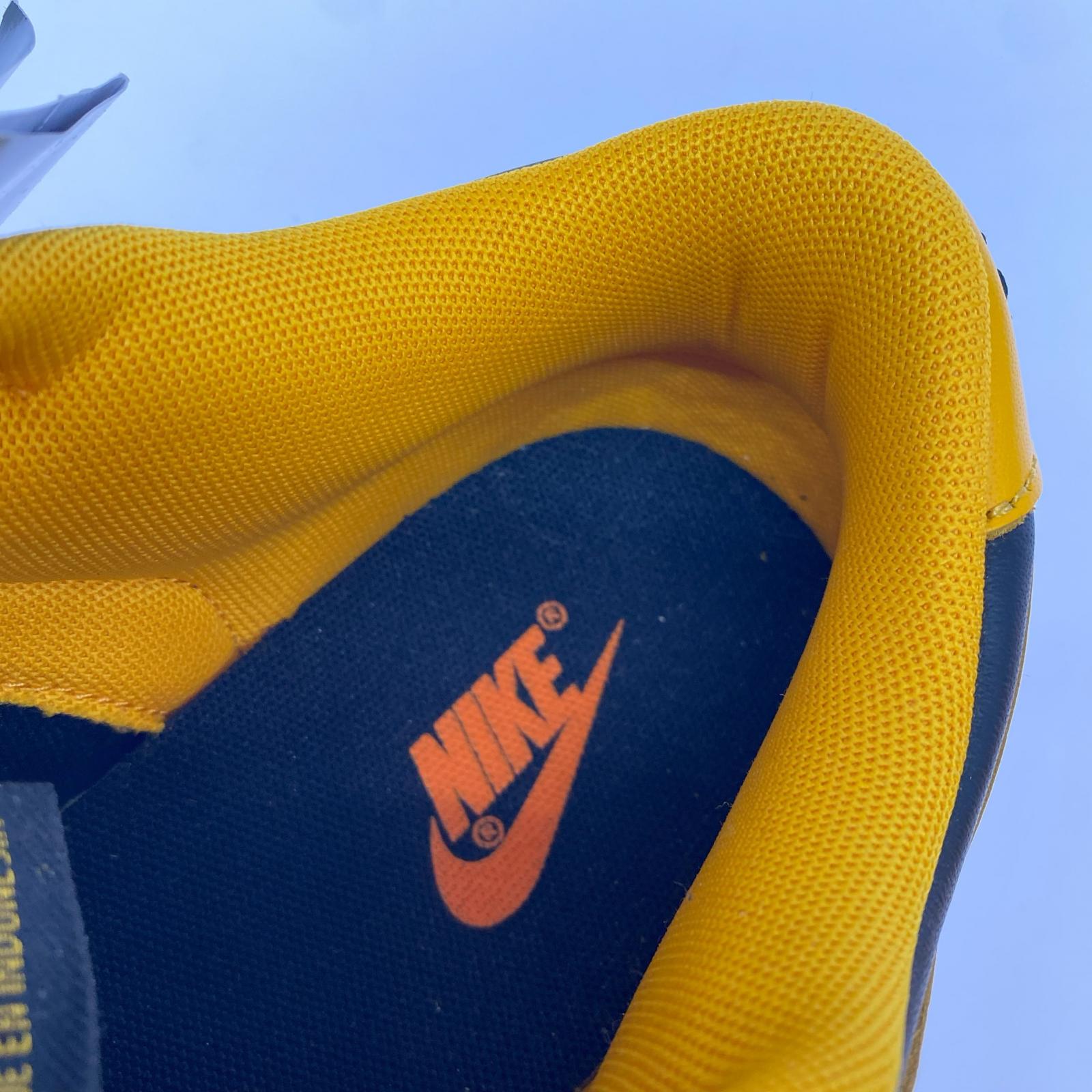 スニーカー NIKE DUNK LOW Blue Jay and University Gold DD1391-402 (27) 27cm (US9 UK8 1/2 EU44)
