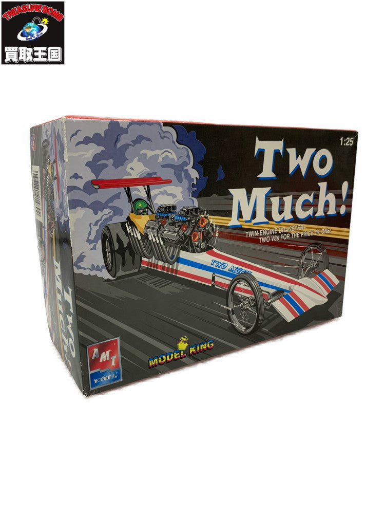 1/25 Two Much! フィギュア/グッズ