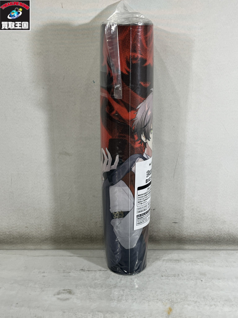 A賞 胡蝶しのぶ＆栗花落カナヲ フィギュア/グッズ