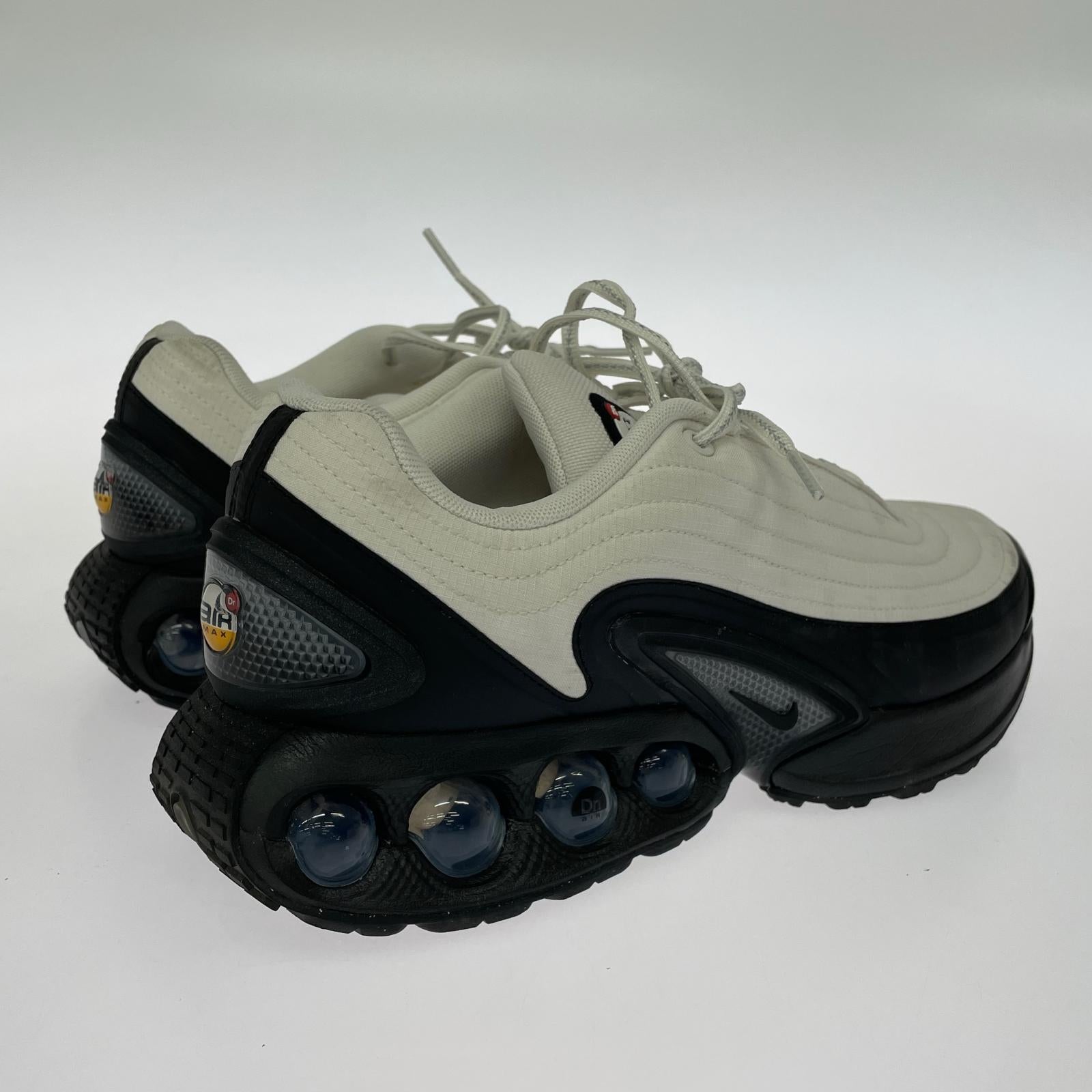 スニーカー Air Max DN WTR 29cm (US11 UK10 1/2 EU48)