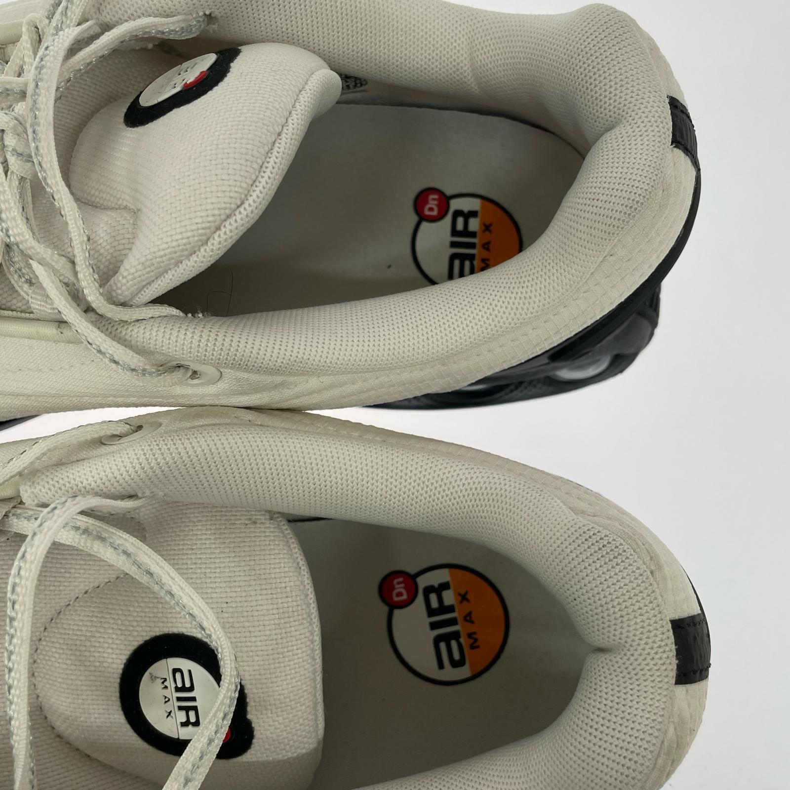 スニーカー Air Max DN WTR 29cm (US11 UK10 1/2 EU48)