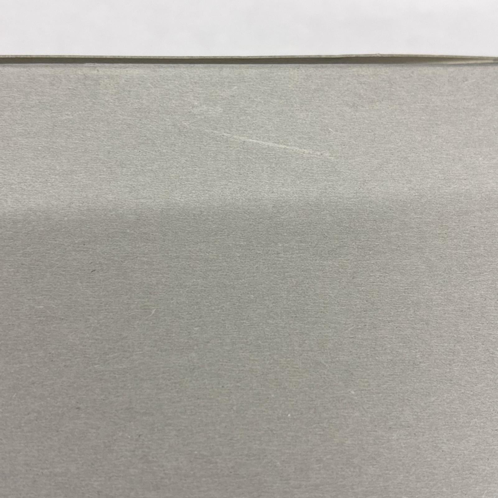 HG 1/144 フェネクス 劇場公開記念スペシャルパッケージ プラモデル　ガンダム バンダイ ガンプラ