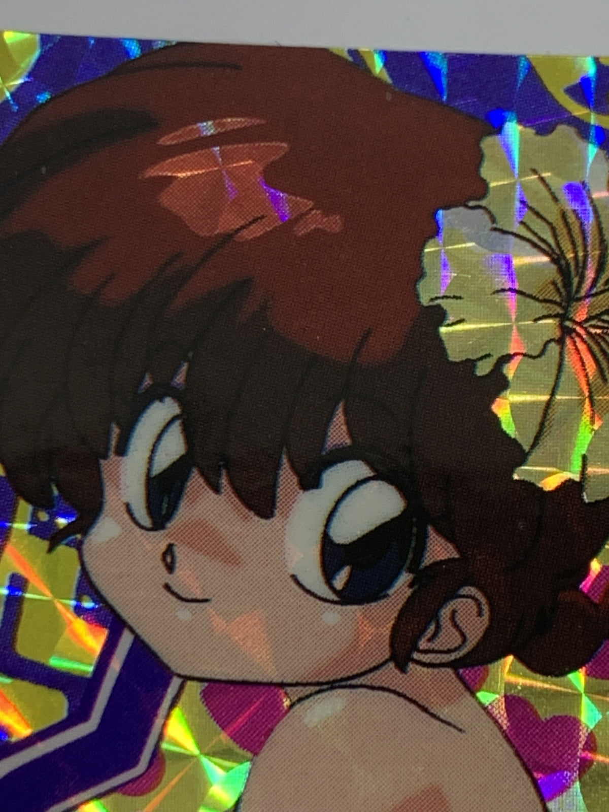 ミュルティクレ６/ CT0079