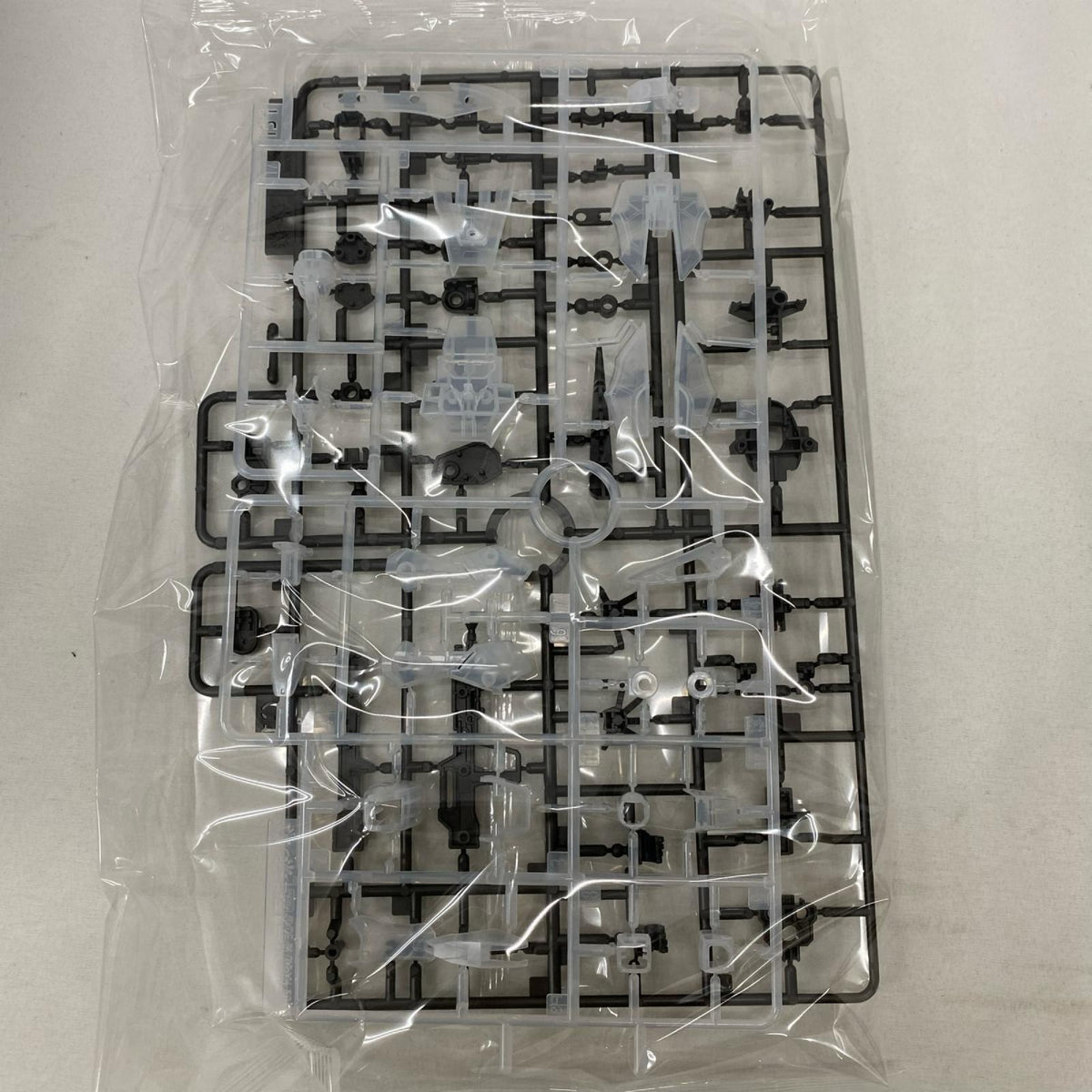 HG デスティニーガンダム ハイネ専用機 クリアカラー 機動戦士ガンダムSEEDDESTINY／シードデスティニー バンダイ ガンプラ