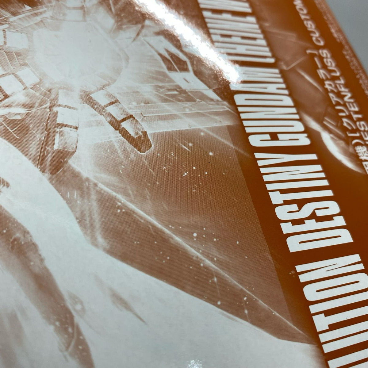 HG デスティニーガンダム ハイネ専用機 クリアカラー 機動戦士ガンダムSEEDDESTINY／シードデスティニー バンダイ ガンプラ