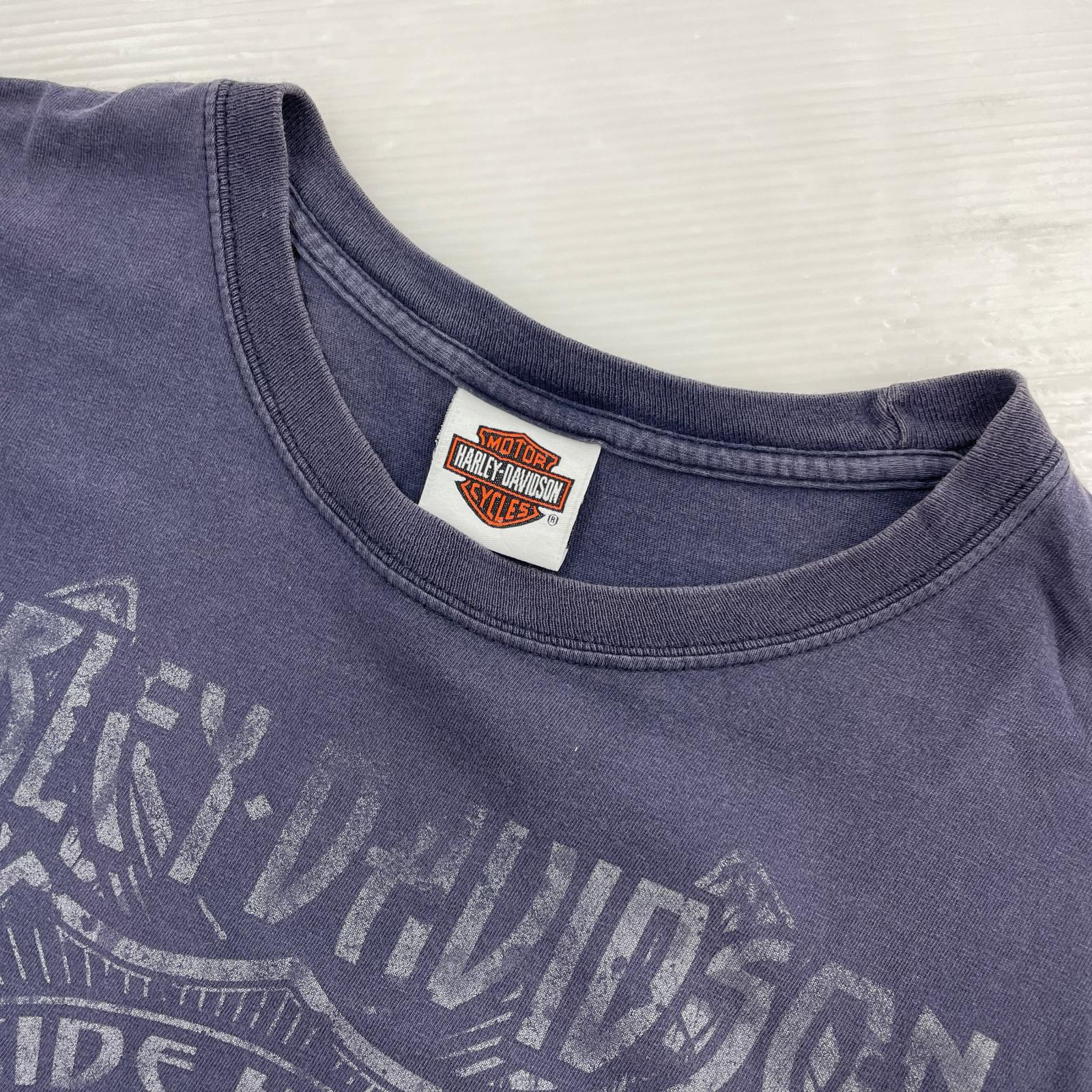 半袖Ｔシャツ Hanesタグ L ネイビー