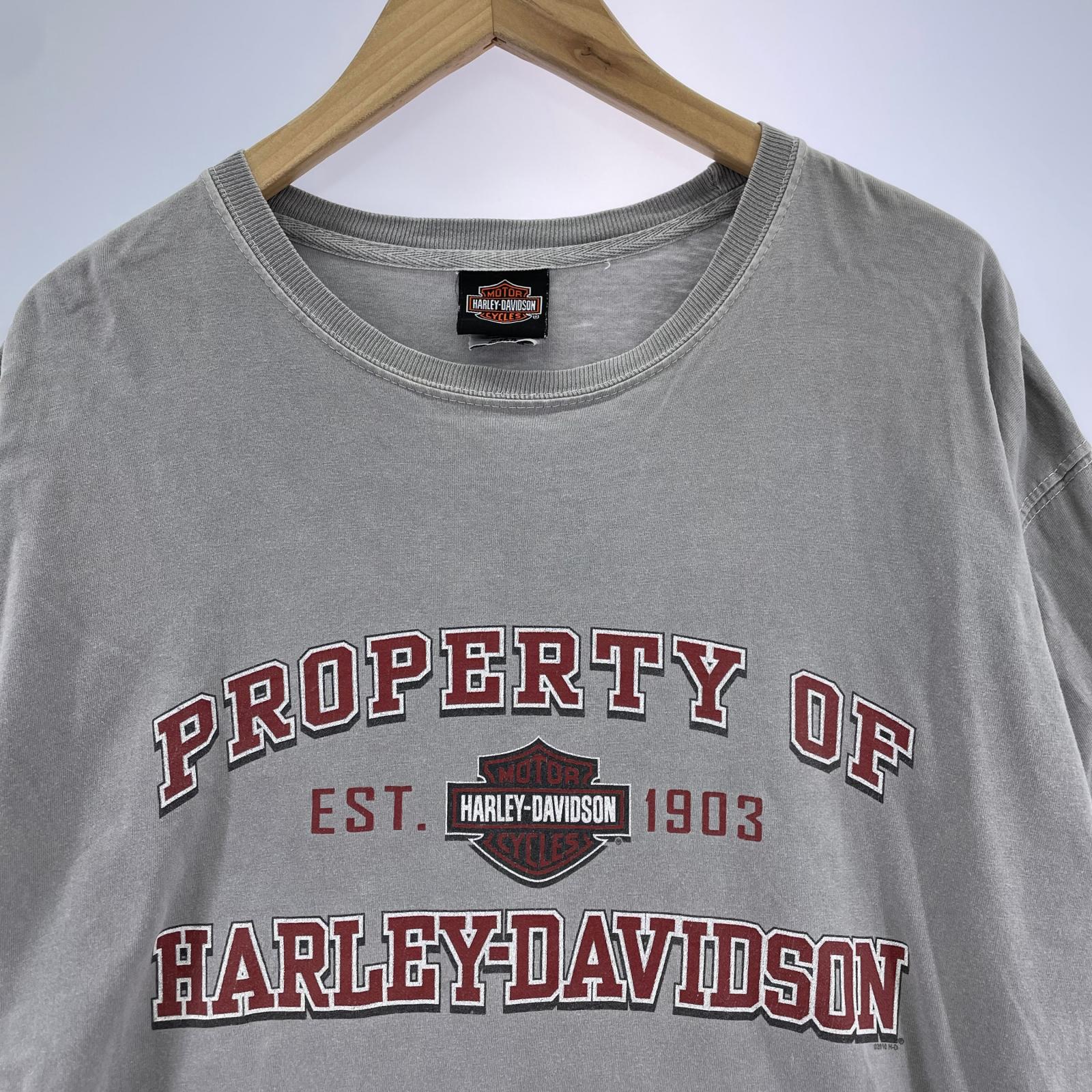 半袖Ｔシャツ HARLEY-DAVIDSON L トライバル L グレー