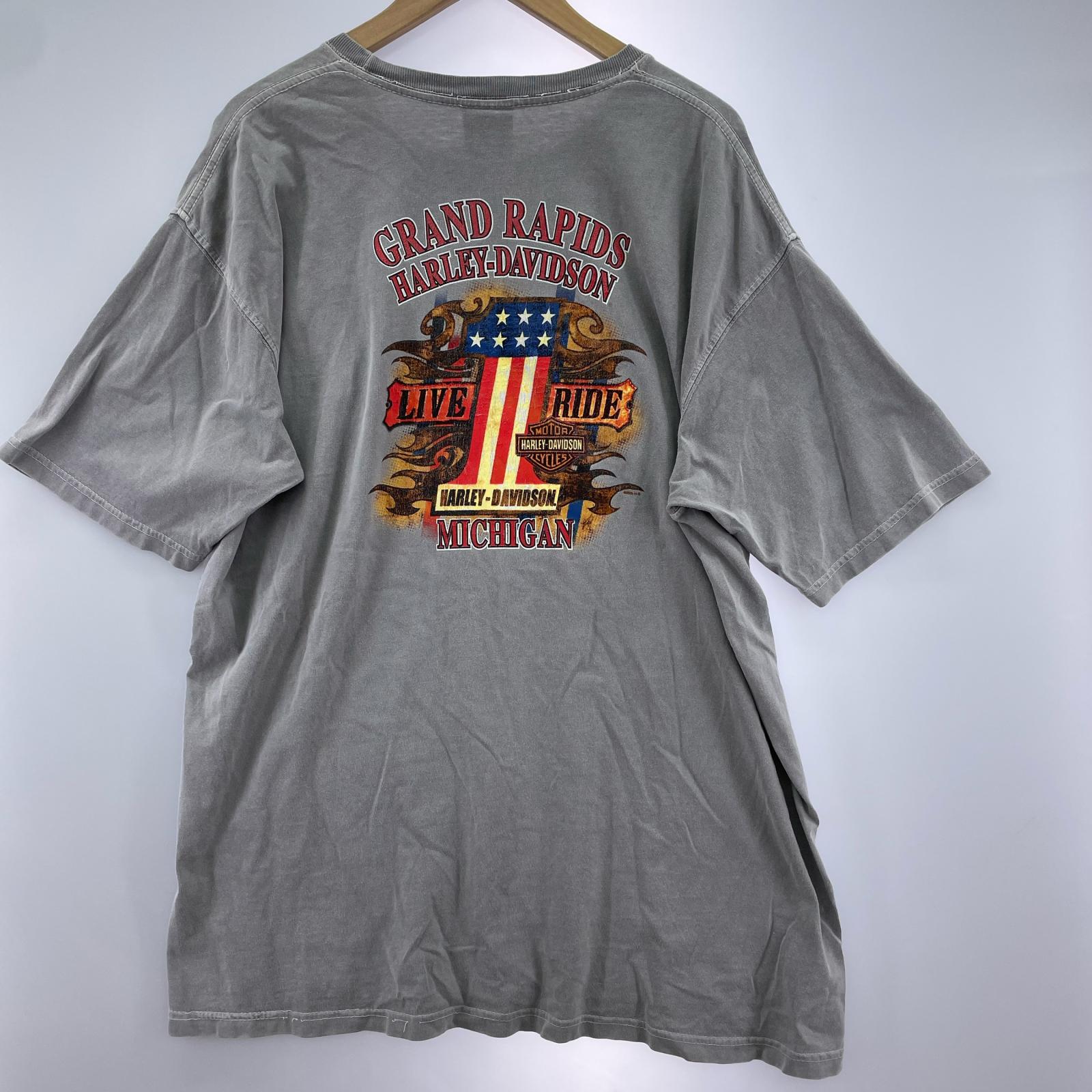 半袖Ｔシャツ HARLEY-DAVIDSON L トライバル L グレー