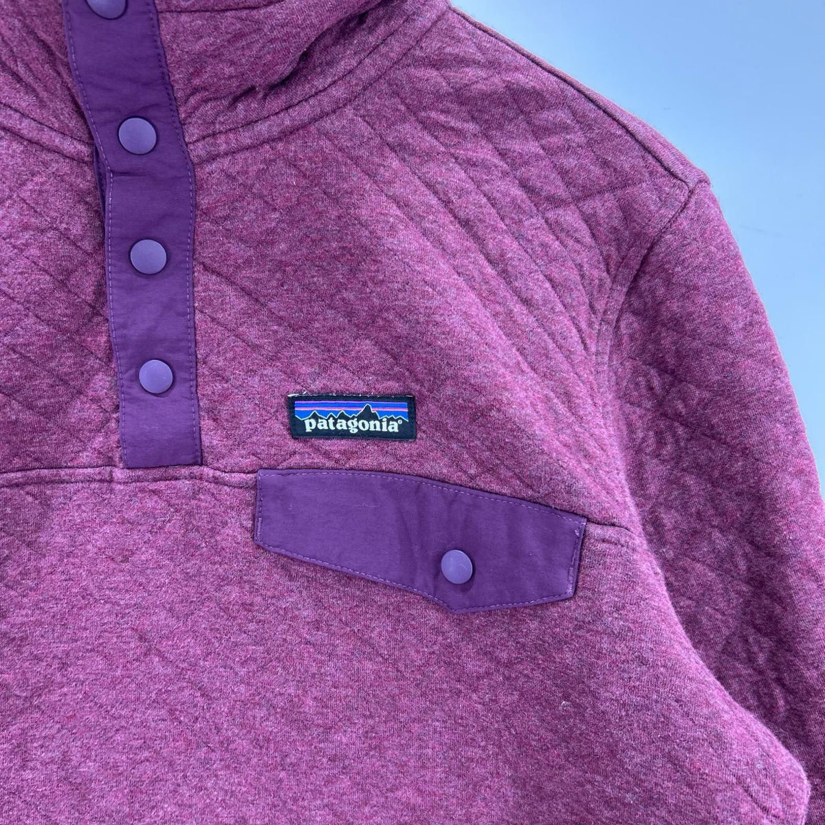 その他トップス patagonia ﾀﾞｲﾔﾓﾝﾄﾞｷﾙﾄｽﾅｯﾌﾟT 25282FA19 紫 (S) S パープル