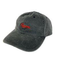 キャップ Script Logo 6-Panel グレー
