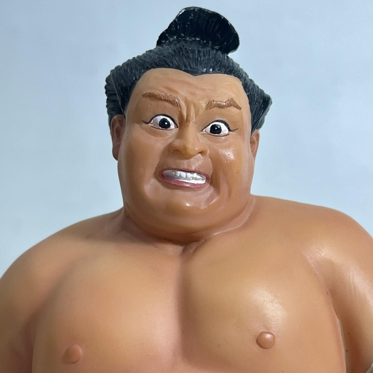 相撲フィギュア 貴乃花 鬼の形相 相撲フィギュア その他小物