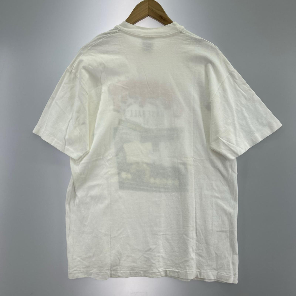 半袖Ｔシャツ 90s Hanes 白 シングルステッチ L L ホワイト