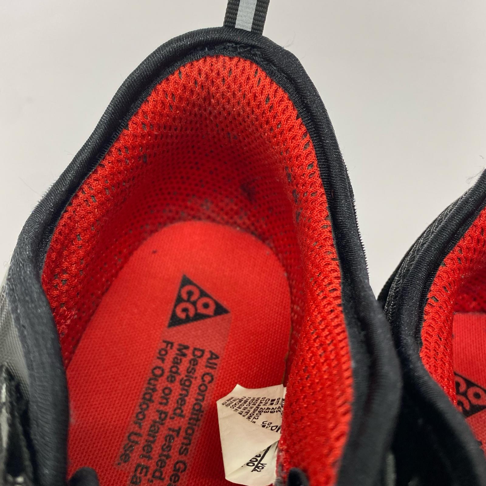 スニーカー ACG AIR NASU (29.0) 29cm (US11 UK10 1/2 EU48) ブラウン
