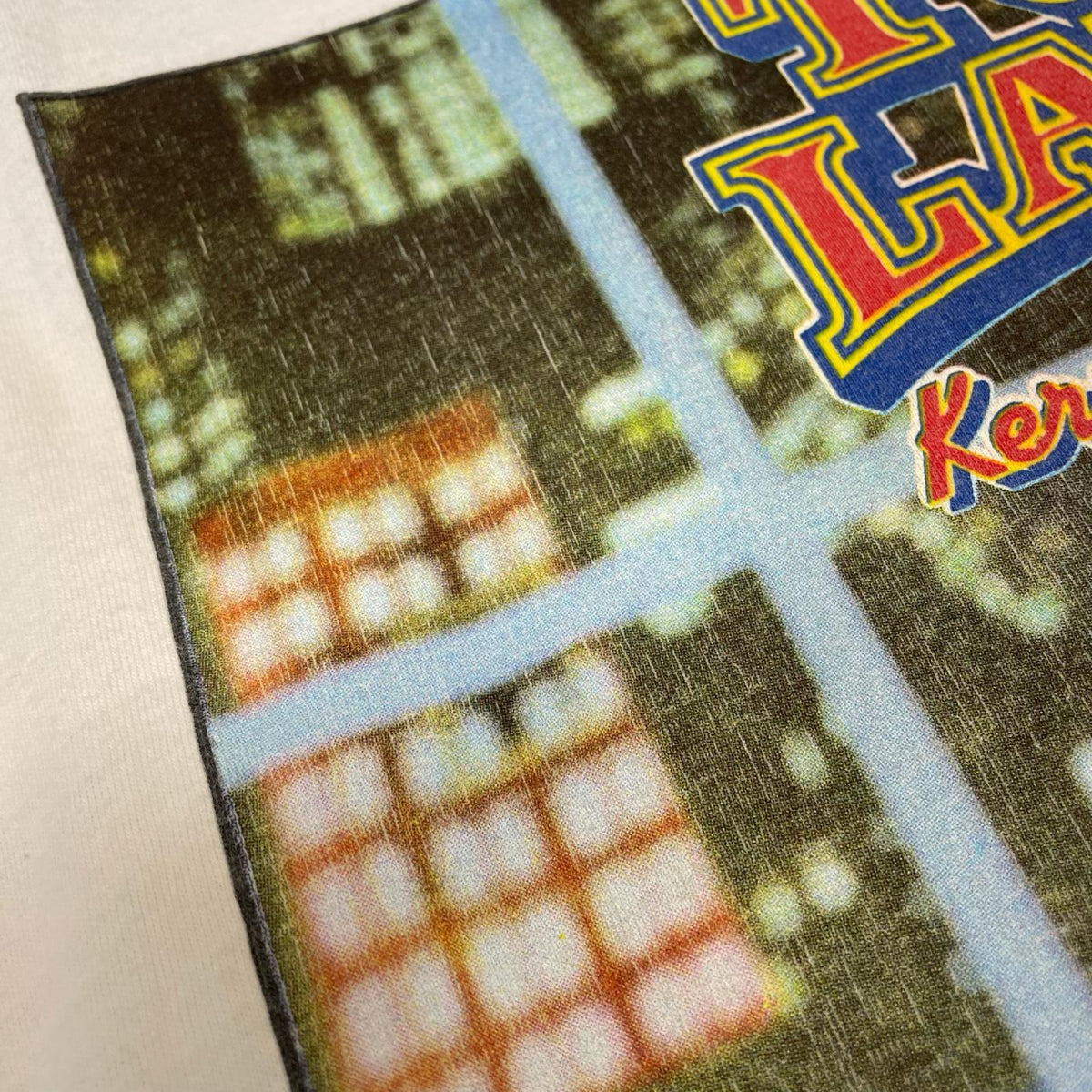 半袖Ｔシャツ 90s TOO LATE with Kermit Letterfrog パロディTシャツChange'sﾀｸﾞ LL ホワイト