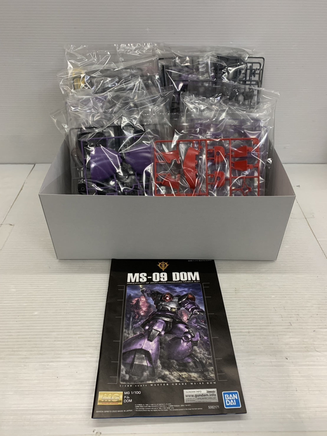 MG 1/100 ドム ガンプラ