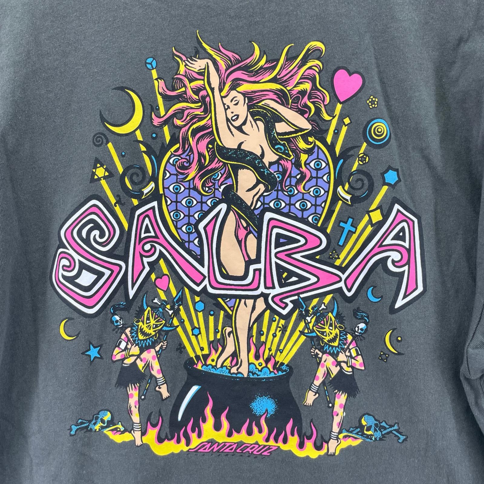 半袖Ｔシャツ 00s SANTA CRUZ SALBA Tee 黒 (L) L ブラック