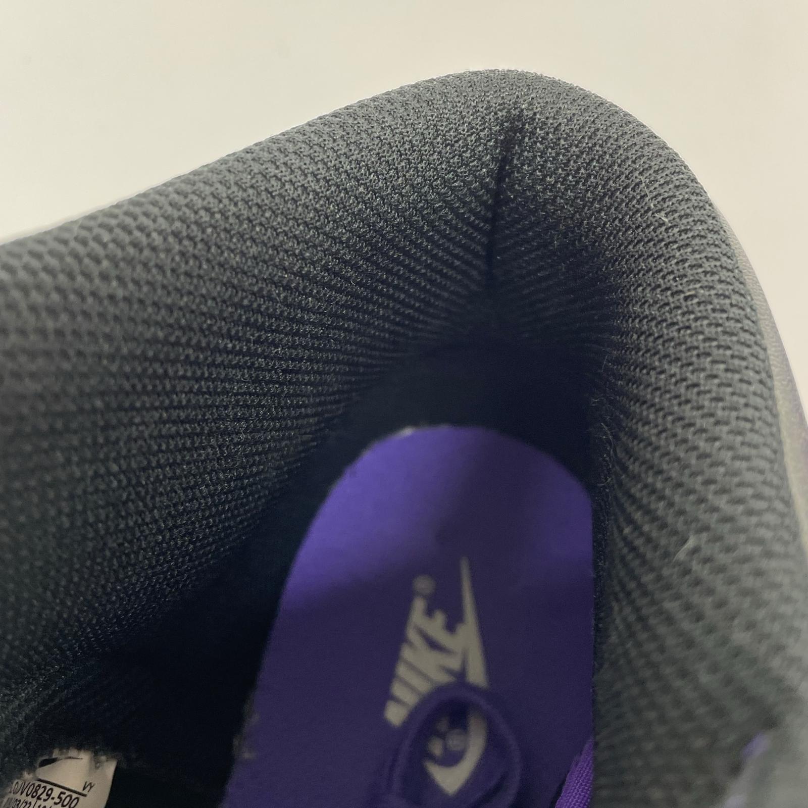 スニーカー nike Dunk High Psychic Purple 29cm (US11 UK10 1/2 EU48) ブラック