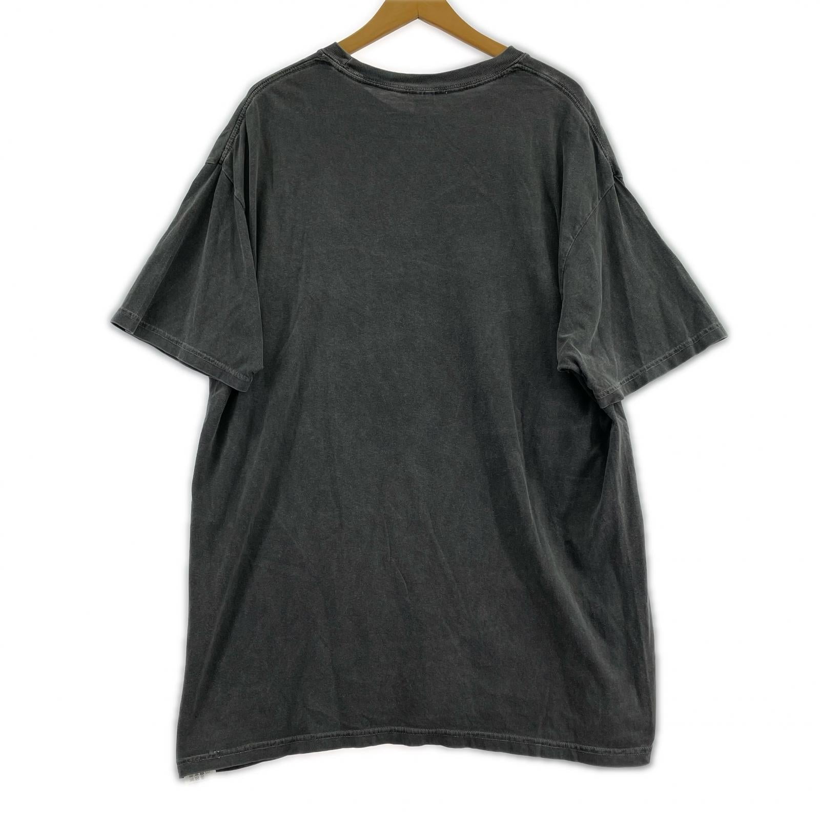 半袖Ｔシャツ BANDANALYZE TOUR　Tシャツ グレー