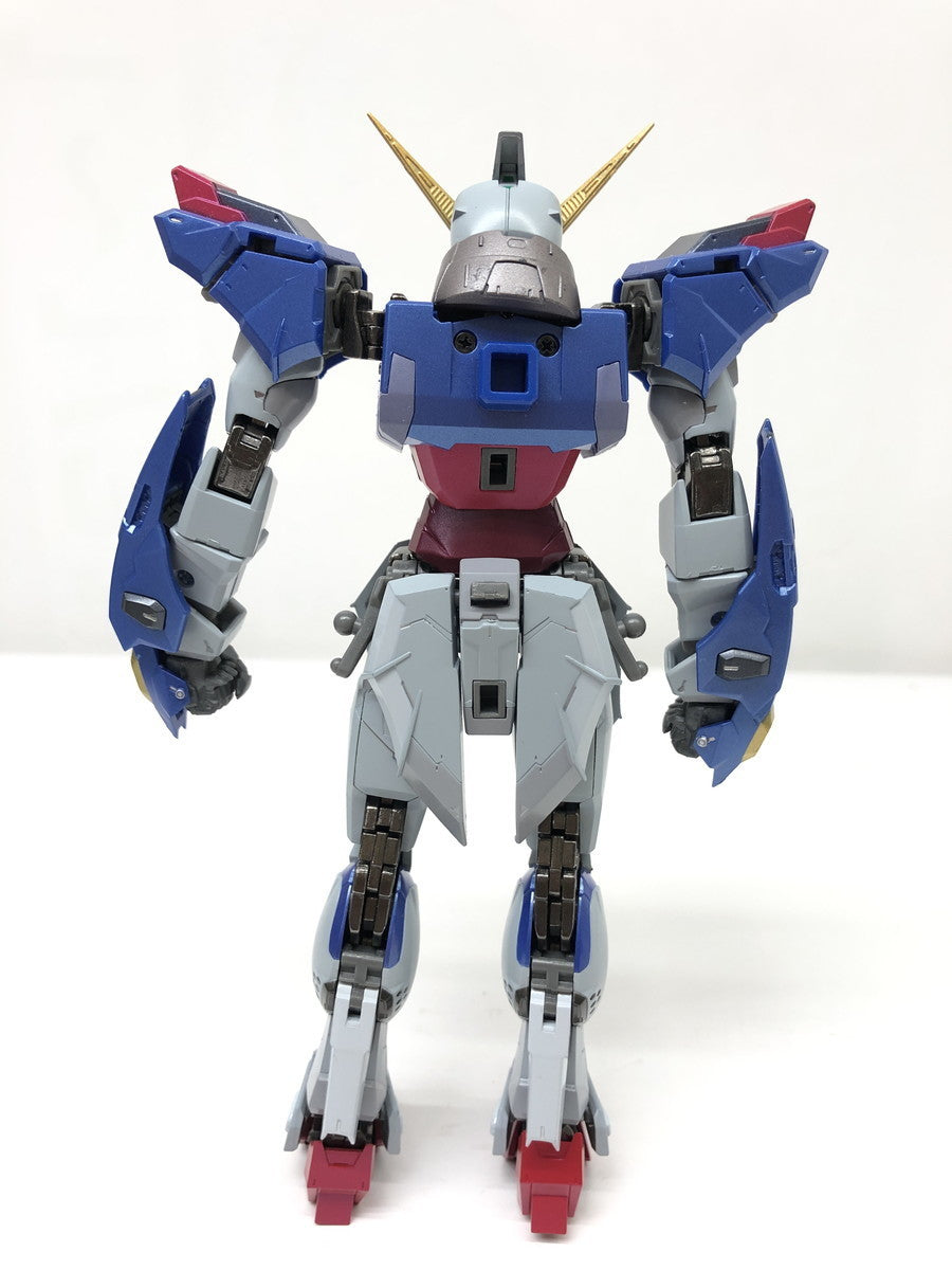 METAL BUILD　ディスティニーガンダム フィギュア/グッズ