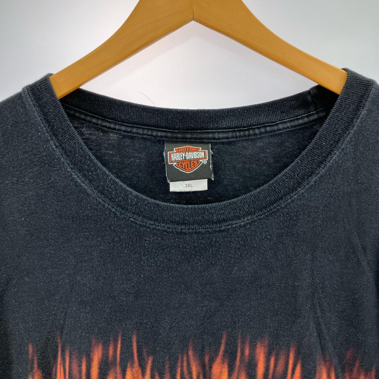 半袖Ｔシャツ ファイヤーパターン 黒 (3XL) ブラック