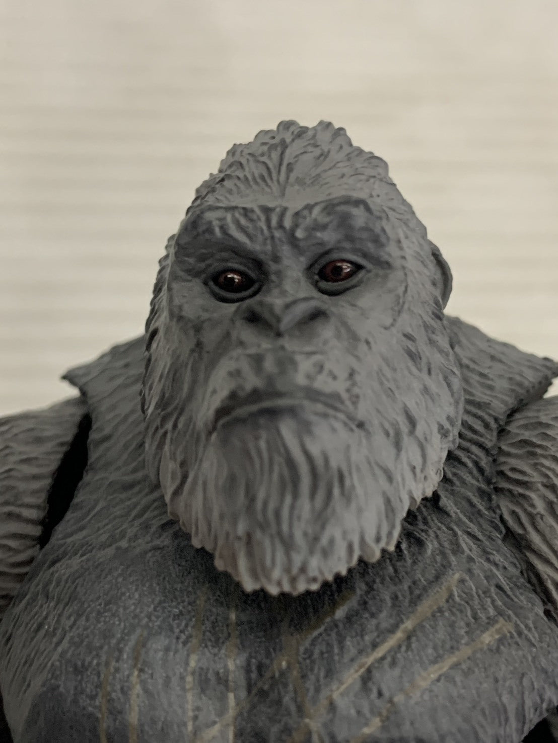 S.H.MonsterArts KONG THE NEW EMPIRE 2024 フィギュア/グッズ