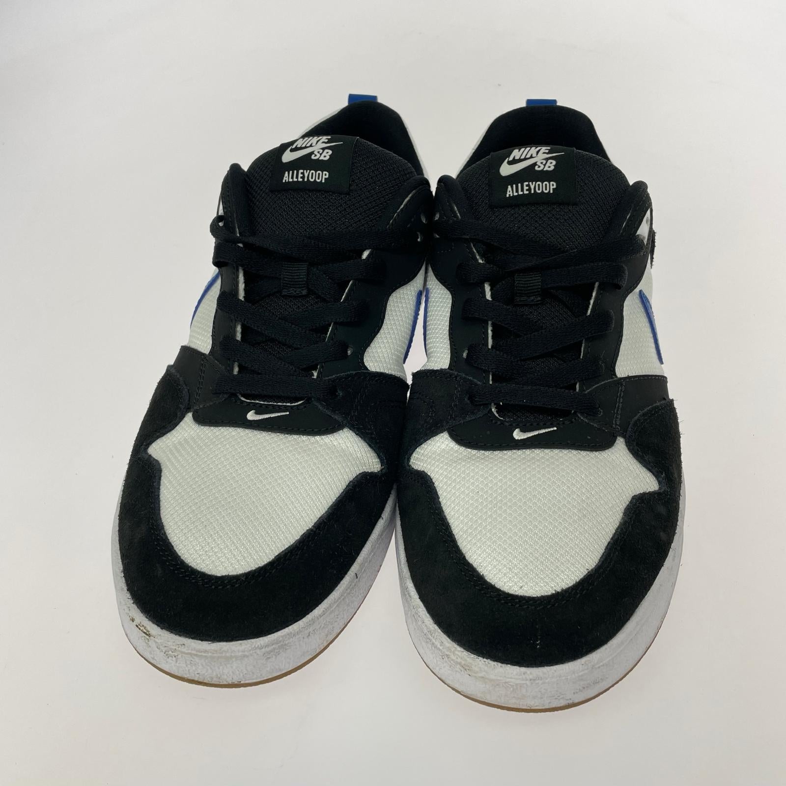 スニーカー CJ0882-104 SB ALLYOOP (28.0) 28cm (US10 UK9 1/2 EU46)