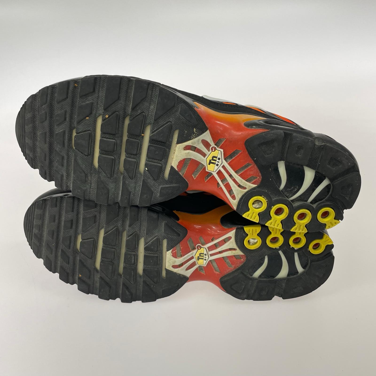 スニーカー Nike Air Max Plus "Tiger" 27.5cm (US9 1/2 UK9 EU45)